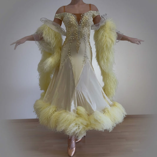 Luxury Ballroom Competition Dress