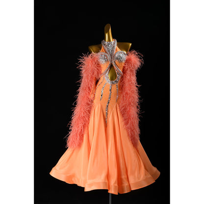 Professional Ballroom Competition Dress 