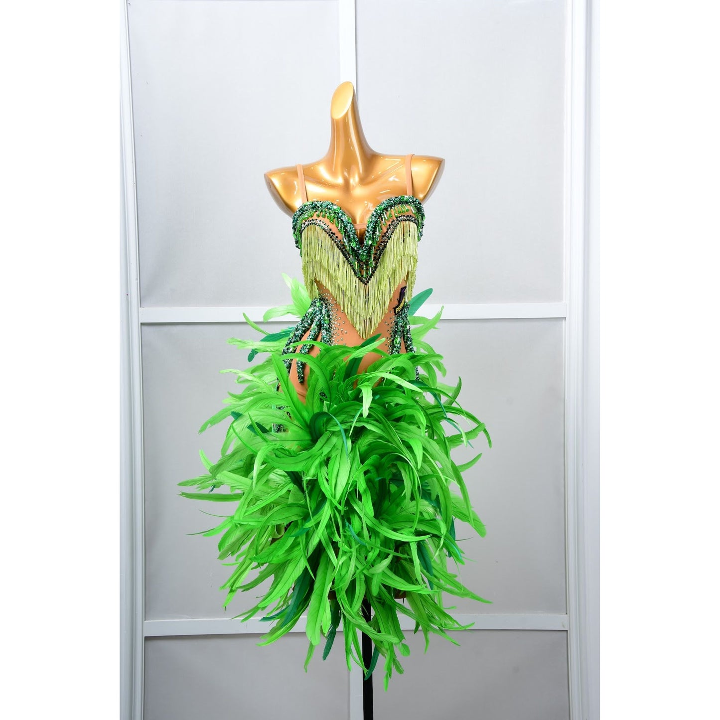 Latin Dancewear Dress