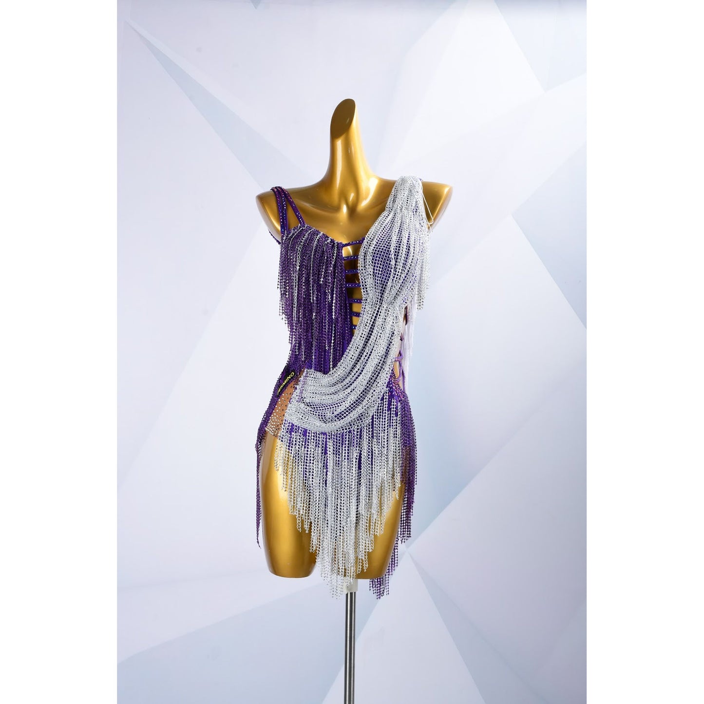 Crystal Dance Costume