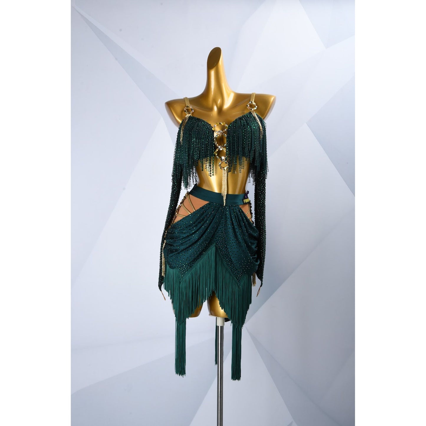 Latin Dress Costume