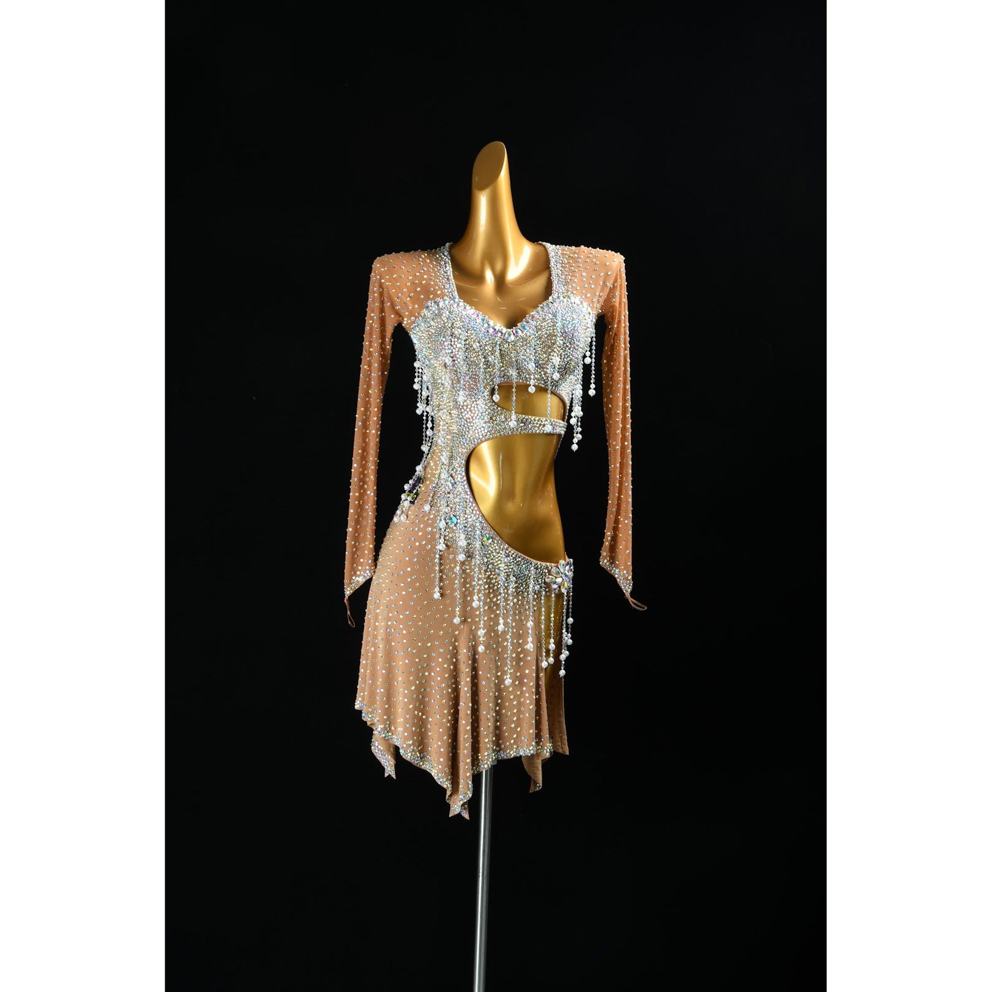 Professional Latin Dress