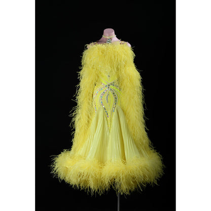 Custom Ballroom Dress