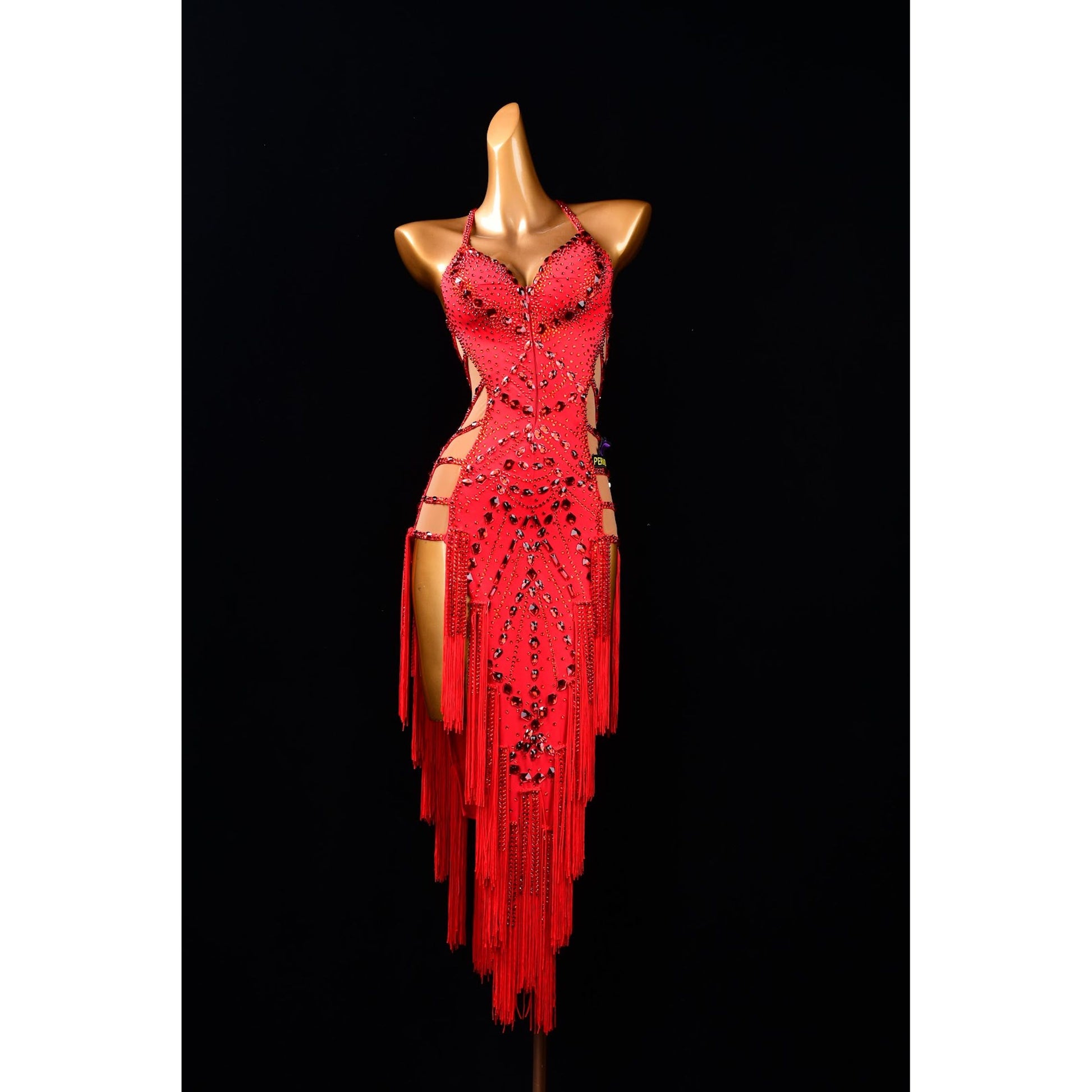 Latin Competition Dress