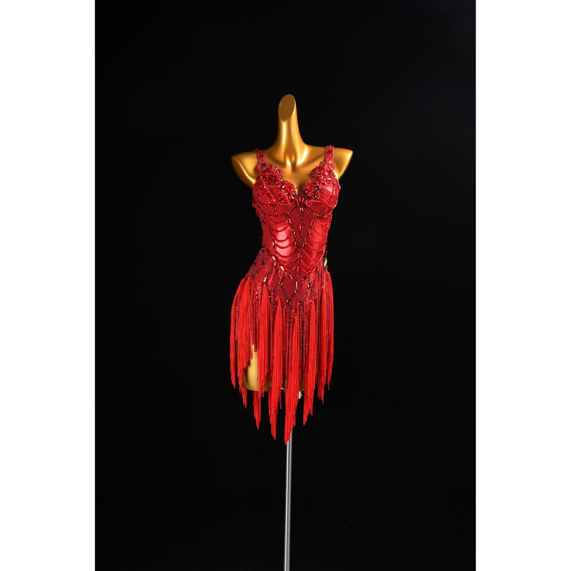 Custom Latin Dance Costume