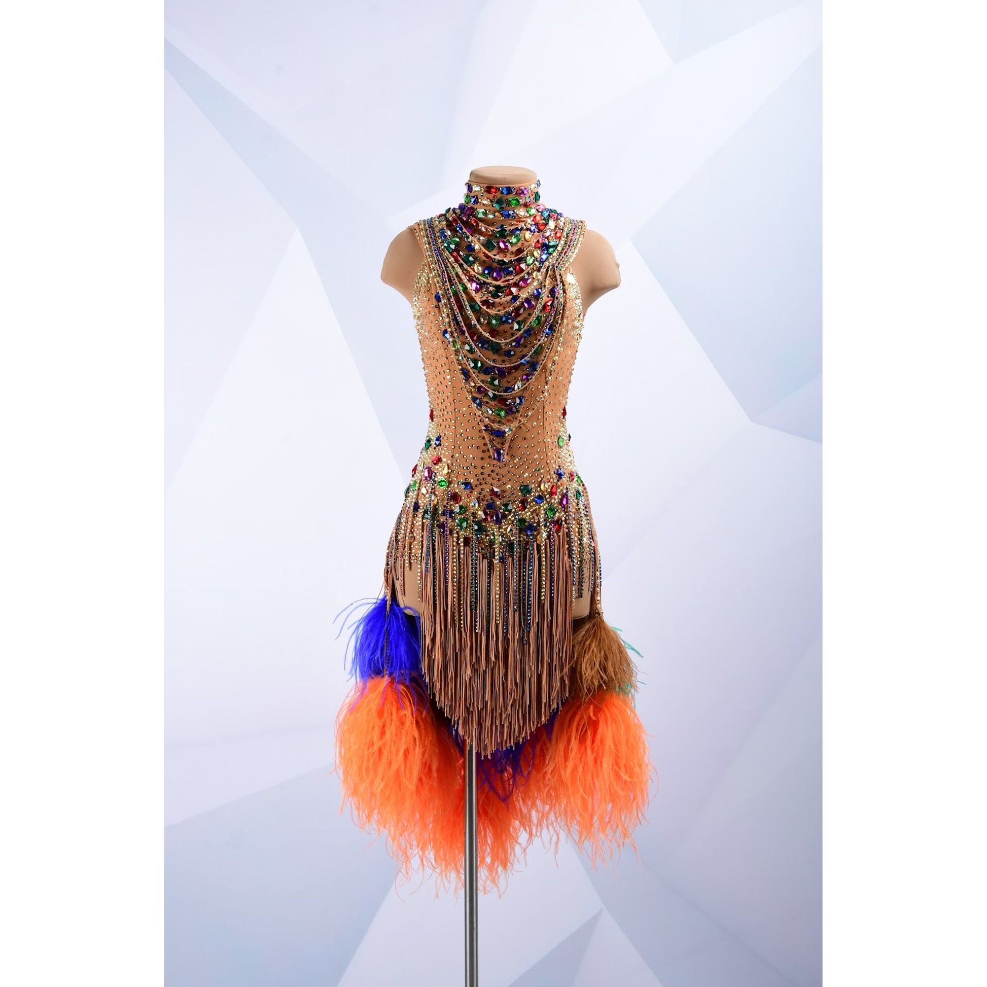 Latin Dance Costume