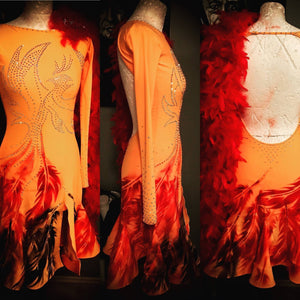 Brand New Phoenix dress - DDressing