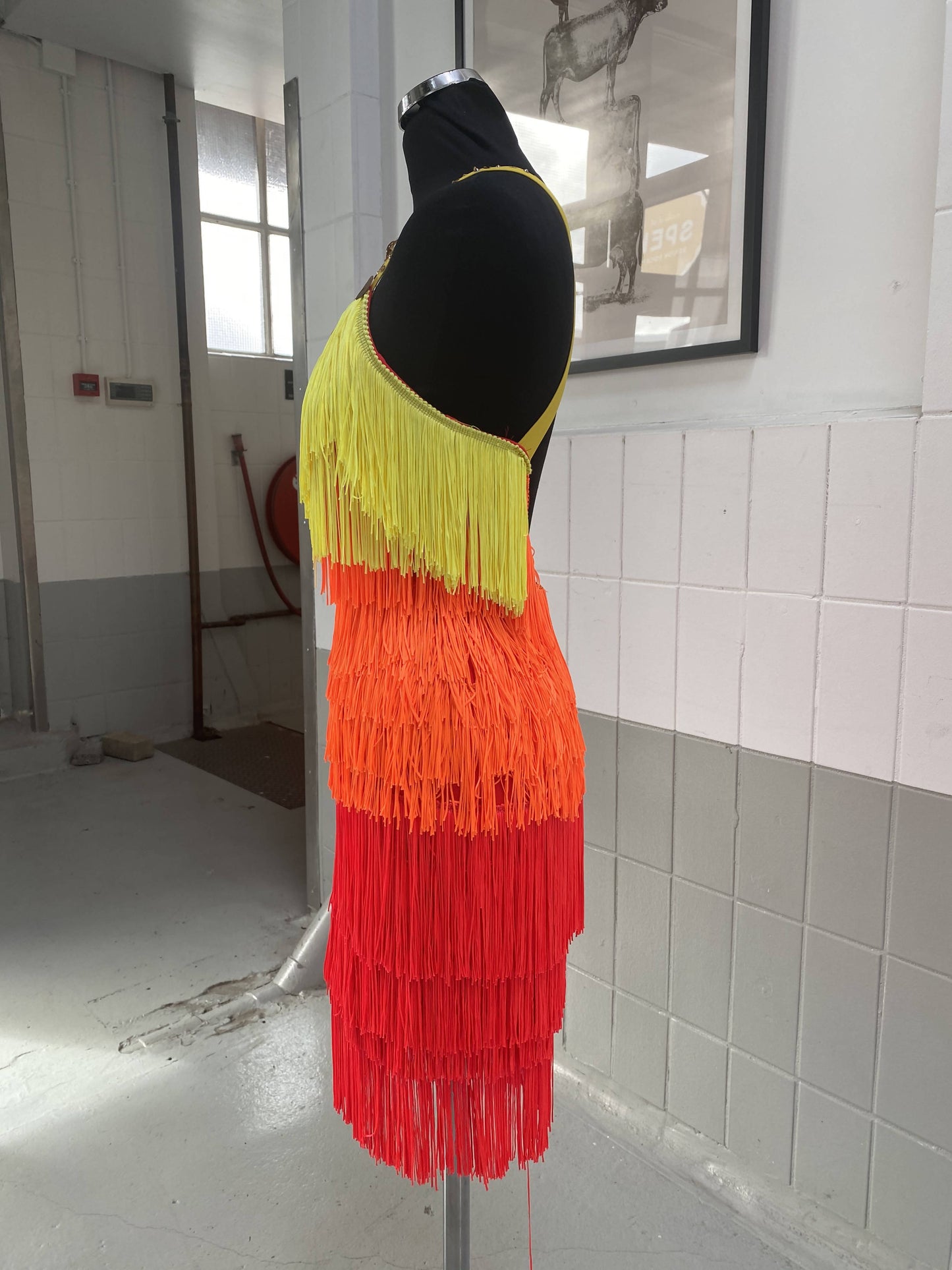 Fringe Rainbow Dress