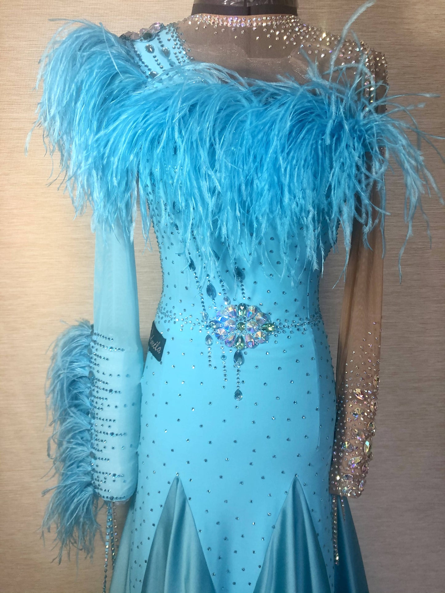 New Blue Sponsored Ballroom Dress with Feathers