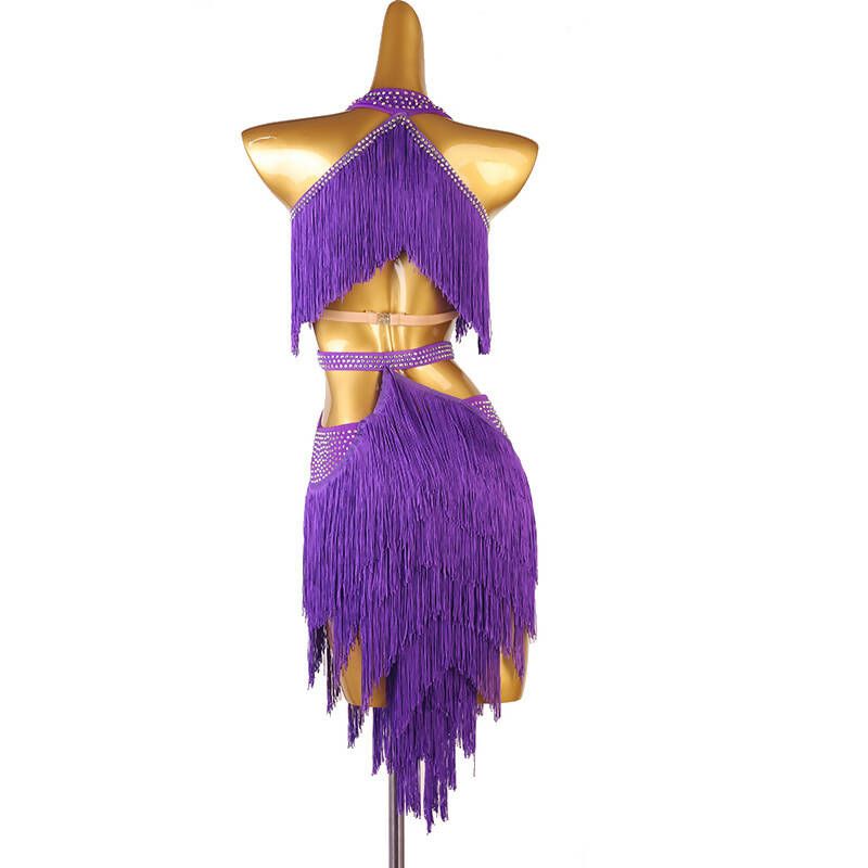 Chromatic Cascade Fringed Latin Dance Dress