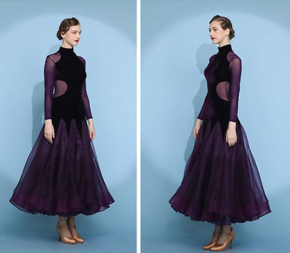 Regal Amethyst Ballroom Dance Dress | 2115Dance Dressing