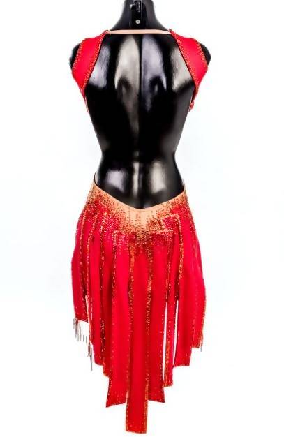 Red Latin Dress with Fringe (ballroom dresses for sale, latin, dancesport, rhythm) - DDressing