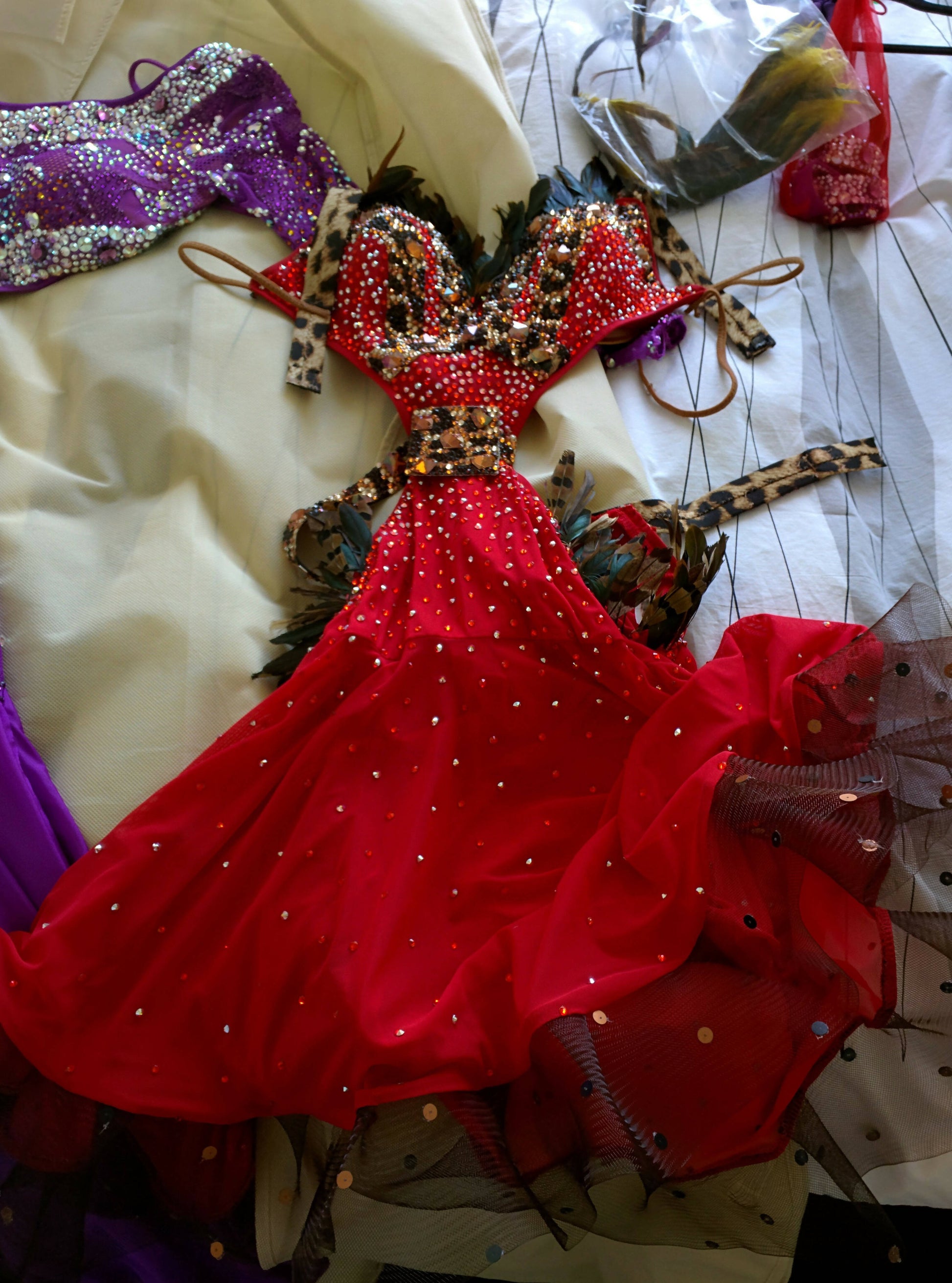 latin dress designers Pink Flamingo Latin Dance Dress in Houston-International Dance Design Store