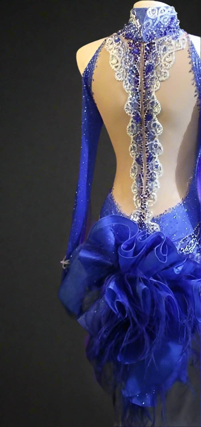 Royal blue latin dressDance Dressing