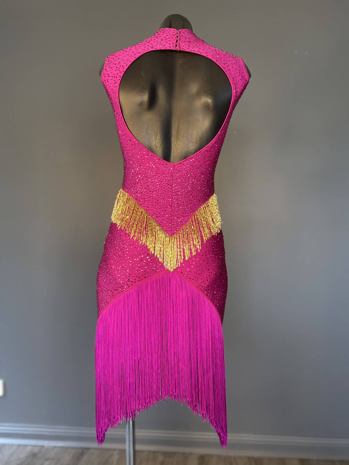 New Fully Stoned Fuchsia & Gold Latin DressDance Dressing