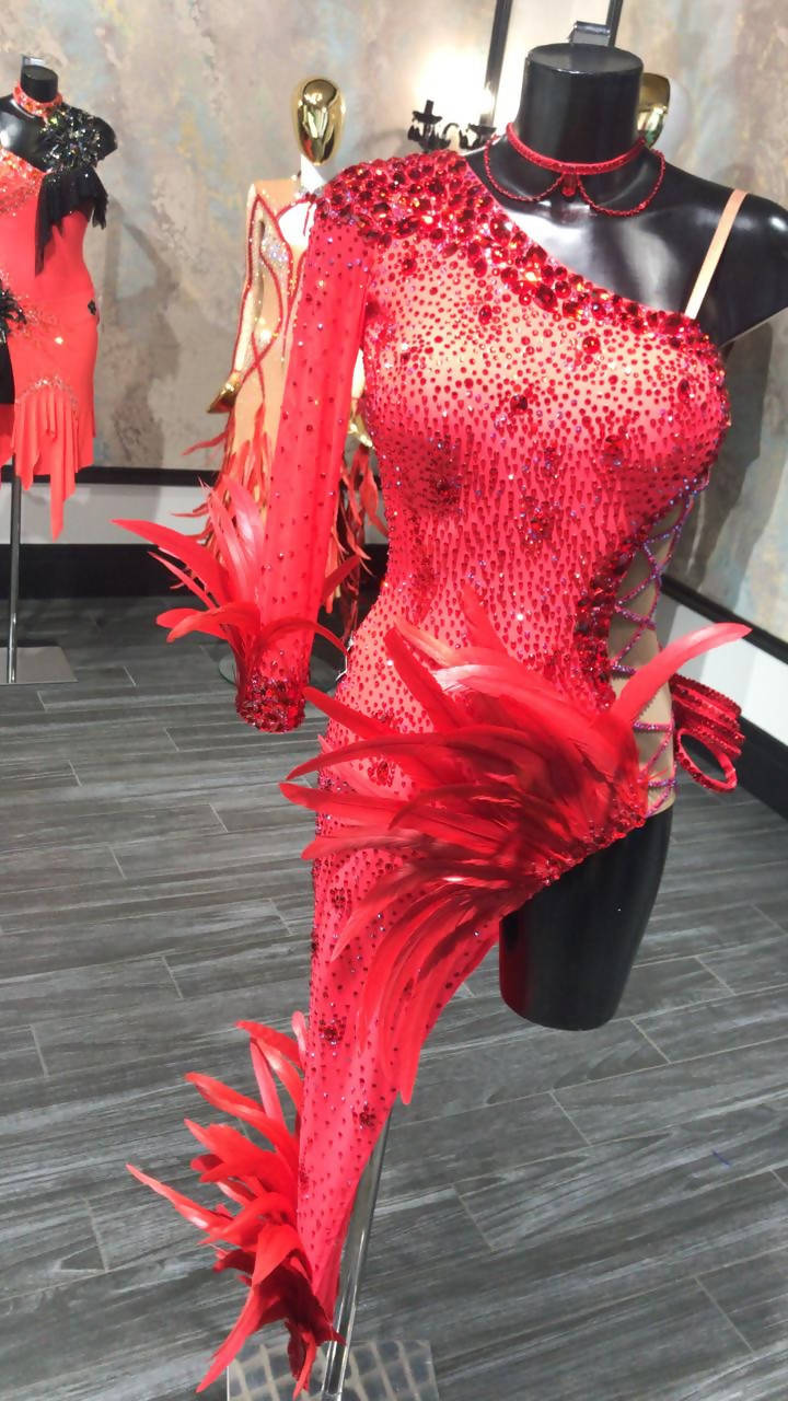 Extraordinary red latin dress with feathers and swarovski stones  Perfect condition (like new) - only 1 time used Size: S Height: 171 cm with heels Bust-waist-hips: 86-60-86 cm